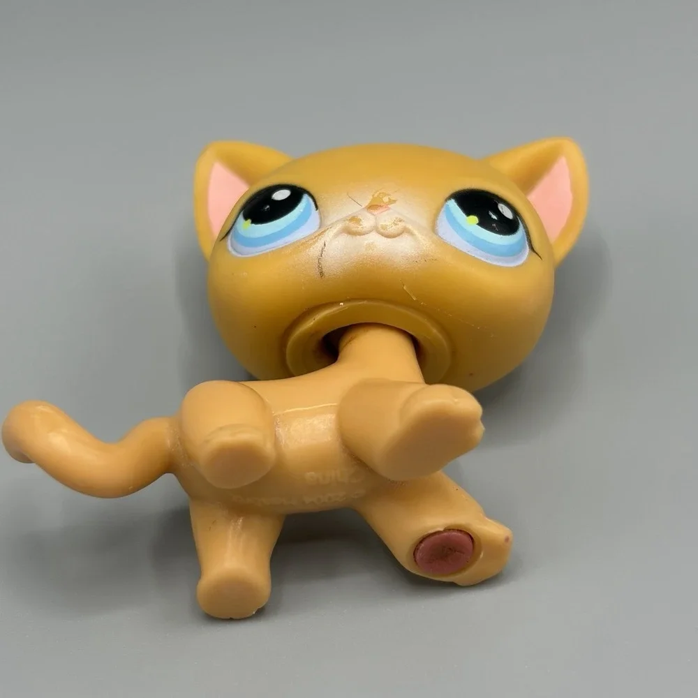 Lps #71 Littlest Petshop Original Authentic Chat Europeen European Cat Hasbro
